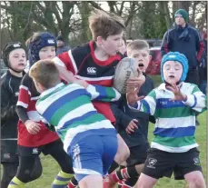  ??  ?? Wicklow Minis in action against Gorey.