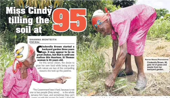 ?? KENYON HEMANS/PHOTOGRAPH­ER ?? Cinderella Brown, 95, gets rid of grass and weeds from her backyard garden.