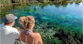  ??  ?? Te Waikoropup­u Springs have some of the clearest waters in the world.