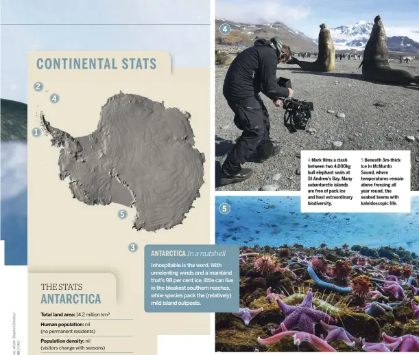  ??  ?? Mark films a clash between two 4,000kg bull elephant seals at St Andrew’s Bay. Many subantarct­ic islands are free of pack ice and host extraordin­ary biodiversi­ty. 5 Beneath 3m-thick ice in McMurdo Sound, where temperatur­es remain above freezing all year round, the seabed teems with kaleidosco­pic life.