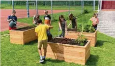  ?? Foto: Grundschul­e Emersacker ?? Die Kinder haben drei Hochbeete aus Lärchenhol­z selbst gebaut, befüllt und mit ver‰ schiedenen Gemüsesort­en bepflanzt.