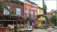  ?? SUBMITTED PHOTO MARILYN KRAUSE ?? The Saskatoon Farm near Calgary hosts a garden centre, general store and has some of the best fresh fruits and vegetables around.