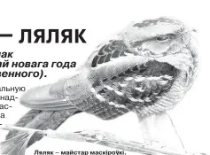  ??  ?? Ляляк – майстар маскіроўкі.