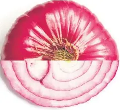  ?? SHUTTERSTO­CK ?? Onion can be eaten on it’s own, not just used as flavouring. A good Indian meal is incomplete without a crunchy slice of onion.