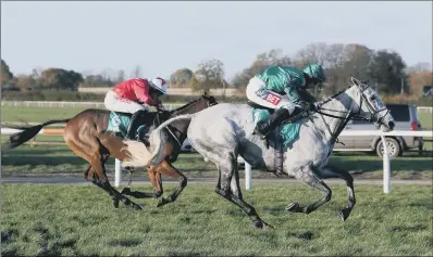  ??  ?? IN AND OUT: Bristol De Mai, pictured holding off Blaklion to win the Charlie Hall Chase at Wetherby, will miss the Grand National but Blaklion races.