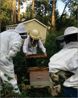  ?? Spencer Lahr / Rome News-Tribune ?? West End Elementary School staff watch a beekeeper handle a hive frame at her home in Marietta where the school purchased three hives for its pollinator project.