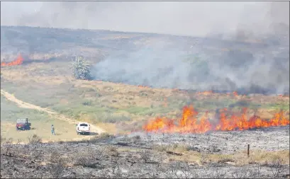  ??  ?? Graves incendios en Israel son causados en los nuevos ataques palestinos, con bombas incendiari­as. (EFE)