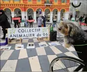  ?? (Photo Frantz Bouton) ?? Mise en scène soignée, hier à Nice, des militants anti-chasse et anti-piégeages pour alerter le public sur ces « loisirs cruels ».