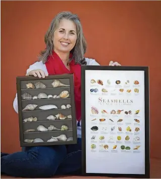  ?? DAMON HIGGINS / THE PALM BEACH POST ?? Christine French with the display of her mother’s shells and her seashells poster on March 22. After her mother, Lillian Theresa French, died, Christine wanted to “put the two together in a display to honor her memory and the shells she so lovingly...