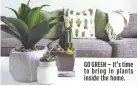  ??  ?? GO GREEN – It’s time to bring in plants inside the home.