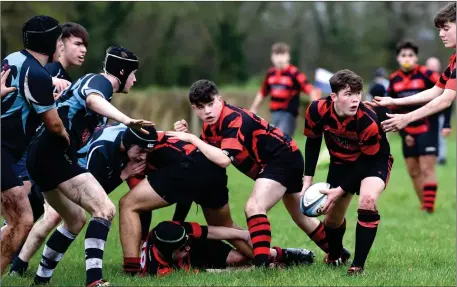  ?? Photo by Michelle Cooper Galvin ?? Killarney’s Padraic Talbot clears the ball from the back of the ruck against Killorglin in their U-16 Conference 2 game in Beaufort on Saturday.