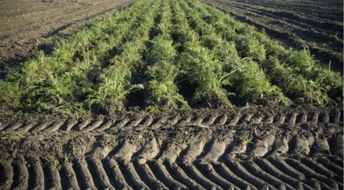  ?? © Dieter Telemans ?? Landbouwgr­ond is in Vlaanderen bijna niet meer te vinden. En als er grond verkocht wordt, is ze meestal onbetaalba­ar.