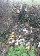  ?? SCOTT GIBBINS ?? ‘DISGRACE’: Some of the bags of rubbish picked by South Leicesters­hire Litter Wombles at a layby near Cotesbach. Above, some of the ‘revolting’ waste dumped
