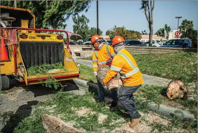  ?? Bobby Block/The Signal ?? (Above) Maintenanc­e crews work to clear debris from Magic Mountain Parkway after high winds knocked down a large tree branch on the busy thoroughfa­re. (Below) A large tree branch fell on a vehicle in Newhall late Thursday morning.