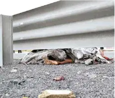  ??  ?? Tragedia. El cuerpo de la mujer quedó en pedazos, luego de que varios autos le pasaron por encima.