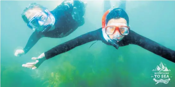  ?? ?? Enjoying a snorkel in the Kapiti Marine Reserve.