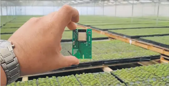  ??  ?? Nubox Node. Es la primera de ocho modelos de tarjetas que pueden censar, analizar, enviar data y automatiza­r procesos productivo­s. Esta primera versión apunta al agro y la acuacultur­a.