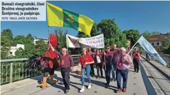  ?? FOTO: TANJA JAKŠE GAZVODA ?? Domači vinogradni­ki, člani Društva vinogradni­kov Šentjernej, jo podpirajo.