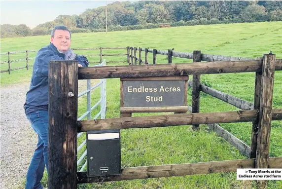  ??  ?? > Tony Morris at the Endless Acres stud farm