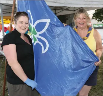  ??  ?? Aoife Walsh and Paula Taaffe of the Duleek Donore Scouts at the recent Duleek fair