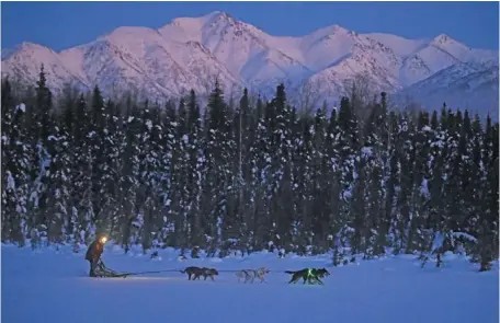  ?? BILL ROTH/ANCHORAGE DAILY NEWS VIA AP ?? Musher Dutch Johnson, a kennel manager at The August Foundation for Alaska Racing Dogs, runs a dog team Jan. 23 on Dee Lake in Chugiak, Alaska.