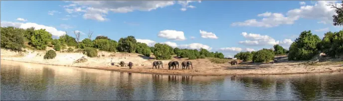  ?? PIC: THALEFANG CHARLES ?? Pristine: Only one lodge is presently operationa­l on the river front in the Chobe National Park. Environmen­talists are up in arms over plans to establish eight more lodges