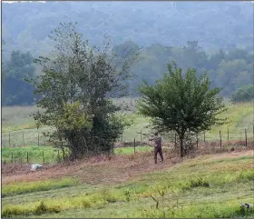  ?? NWA Democrat-Gazette/FLIP PUTTHOFF ?? A hunter takes a shot during an opening-day dove hunt. Dove season ends Oct. 22 and runs again Dec. 8-Jan. 15.