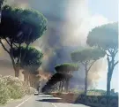  ?? Ansa ?? Vicino Ostia L’incendio nella pineta di Castelfusa­no, a Roma