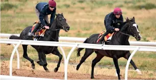  ?? AFP ?? Melbourne Cup favourite Irish horse Yucatan (right) leads stablemate Cliffs of Moher. —
