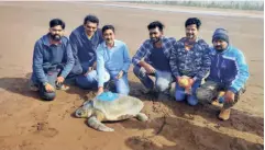  ?? ?? THE TEAM from the Mangrove Foundation led by Harshal Karve and Manas Manjrekar with a tagged turtle a few moments before its release.