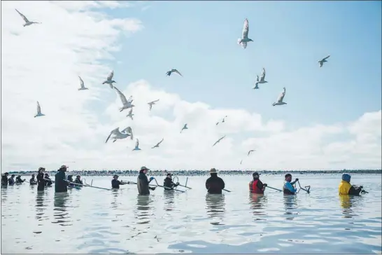  ?? PHOTOS BY JOSHUA CORBETT / THE NEW YORK TIMES ?? Dip-netters crowd the mouth of the Kenai River July 29 in Kenai, Alaska. Amateur anglers pack the shores of the Kenai River during the salmon spawning season, perhaps the most colorful, and contentiou­s, fishing spot in America.