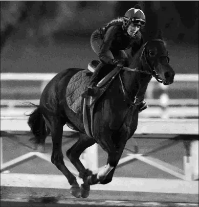  ?? BARBARA D. LIVINGSTON ?? Breeders’ Cup Distaff longshot La Force works on Thursday morning at Santa Anita Park.