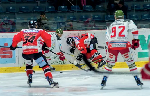  ?? (Fb Foxes official) ?? Contrasto duro Nella foto un momento di gara 2 tra Foxes e Znojmo, finita con la vittoria dei bolzani sulla squadra della repubblica ceca