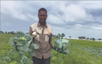  ?? Photo: Contribute­d ?? Youth in agricultur­e… Crop science student and Agripreneu­r, Rabban Nghishidim­bwa.