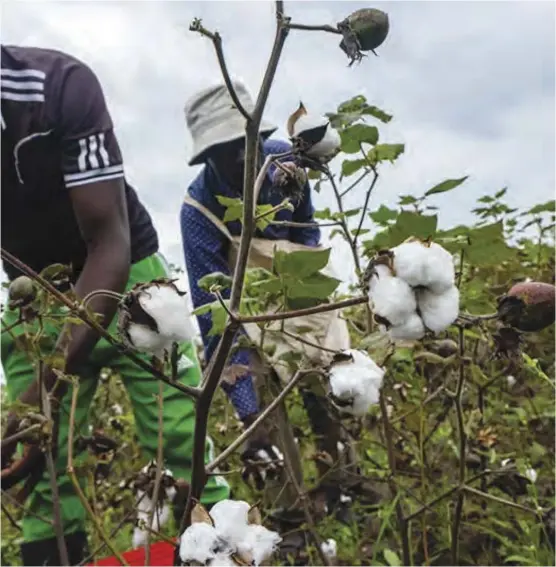  ??  ?? Farmers have accepted the promise by the government that the outstandin­g farmer payments will be settled.