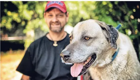  ?? RP-FOTO: RALPH MATZERATH ?? Tierheimle­iter Thomas Mielke aus Monheim führt Sultan aus.