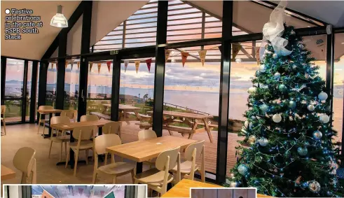  ?? ?? ● Festive celebratio­ns in the cafe at RSPB South Stack