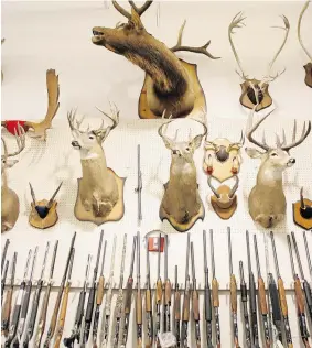  ?? DAVE STOBBE/The StarPhoeni­x ?? Changes to Saskatchew­an’s hunting laws will prohibit people who have had their hunting
rights suspended in other jurisdicti­ons from buying hunting licences in the province.