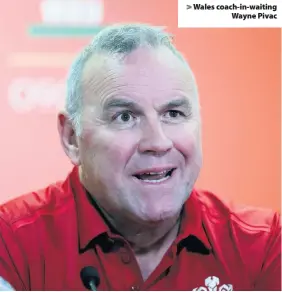  ??  ?? &gt; Wales coach-in-waiting Wayne Pivac