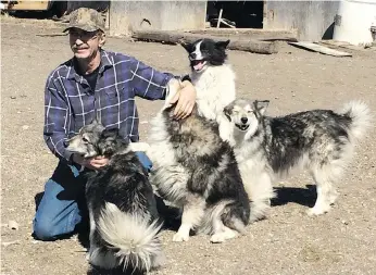  ??  ?? Terry Baker had 72 dogs seized from his Riceton-area farm by Animal Protection Services of Saskatchew­an.