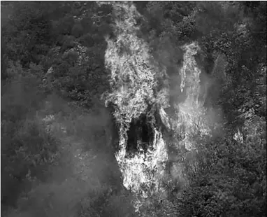  ??  ?? A fire tears through a forest in the mountainou­s area near the village of Meshref in Lebanon’s Shouf mountains.
(Photo: Al Jazeera)