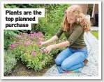  ??  ?? Plants are the top planned purchase