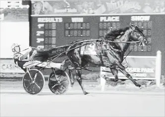  ?? DON KNIGHT THE ASSOCIATED PRESS ?? Yannick Gingras drives Lazarus N to win the 25th running of the Dan Patch Stakes harness race at Hoosier Park in Anderson, Ind. Now, Lazarus looks to add the $615,000 Canadian Pacing Derby to his stellar racing resumé.