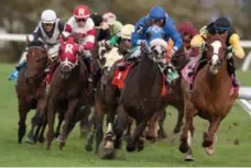  ?? MICHAEL BURNS/THE CANADIAN PRESS ?? Jockey Eurico Rosa Da Silva, in blue, rides Bullards Alley to a resounding win in Sunday’s Pattison Canadian Internatio­nal at Woodbine Racetrack.