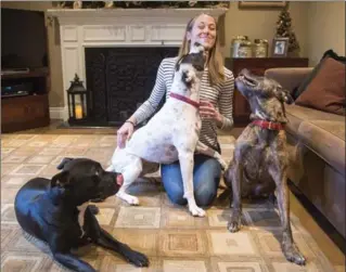  ?? RYAN REMIORZ, THE CANADIAN PRESS ?? Jessica Christen plays with her pit bull terriers Tuesday in Beaconsfie­ld, Que.