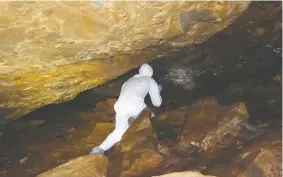  ??  ?? A field researcher identifies a bat in a cave in China’s Yunnan Province. This cave is located in the same region as the cave where researcher­s
found a virus almost identical to the novel coronaviru­s.