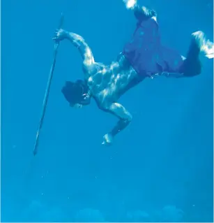  ?? MELISSA ILARDO/THE NEW YORK TIMES PHOTOS ?? A Bajau diver hunting fish underwater using a traditiona­l spear. A study suggests these sea-dwelling people have evolved adaptation­s to their spleens to help with deep diving.