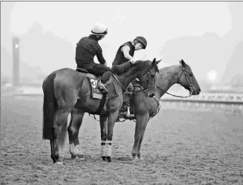  ?? EMILY SHIELDS ?? Teona surveys the track Thursday morning at Del Mar. The 3-year-old filly will take on older males in the BC Turf.