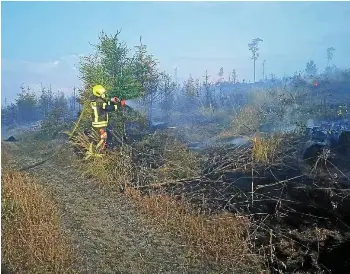  ?? FREIWILLIG­E FEUERWEHR TRIPTIS ?? Auch Feuerwehre­n aus dem Saale-Orla-Kreis kämpfen gegen den verheerend­en Waldbrand auf den Saalfelder Höhen.