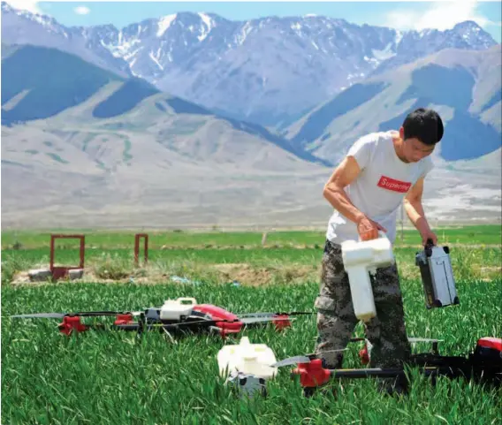  ??  ?? June 11, 2018: A drone operator changes battery and pesticide tank in Hami City of China’s Xinjiang Uygur Autonomous Region. During harvest peak time, drone operators from Heilongjia­ng Province are often hired to work in other provinces and regions. VCG